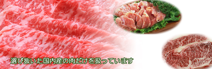 seiniku.jpg(201146 byte)